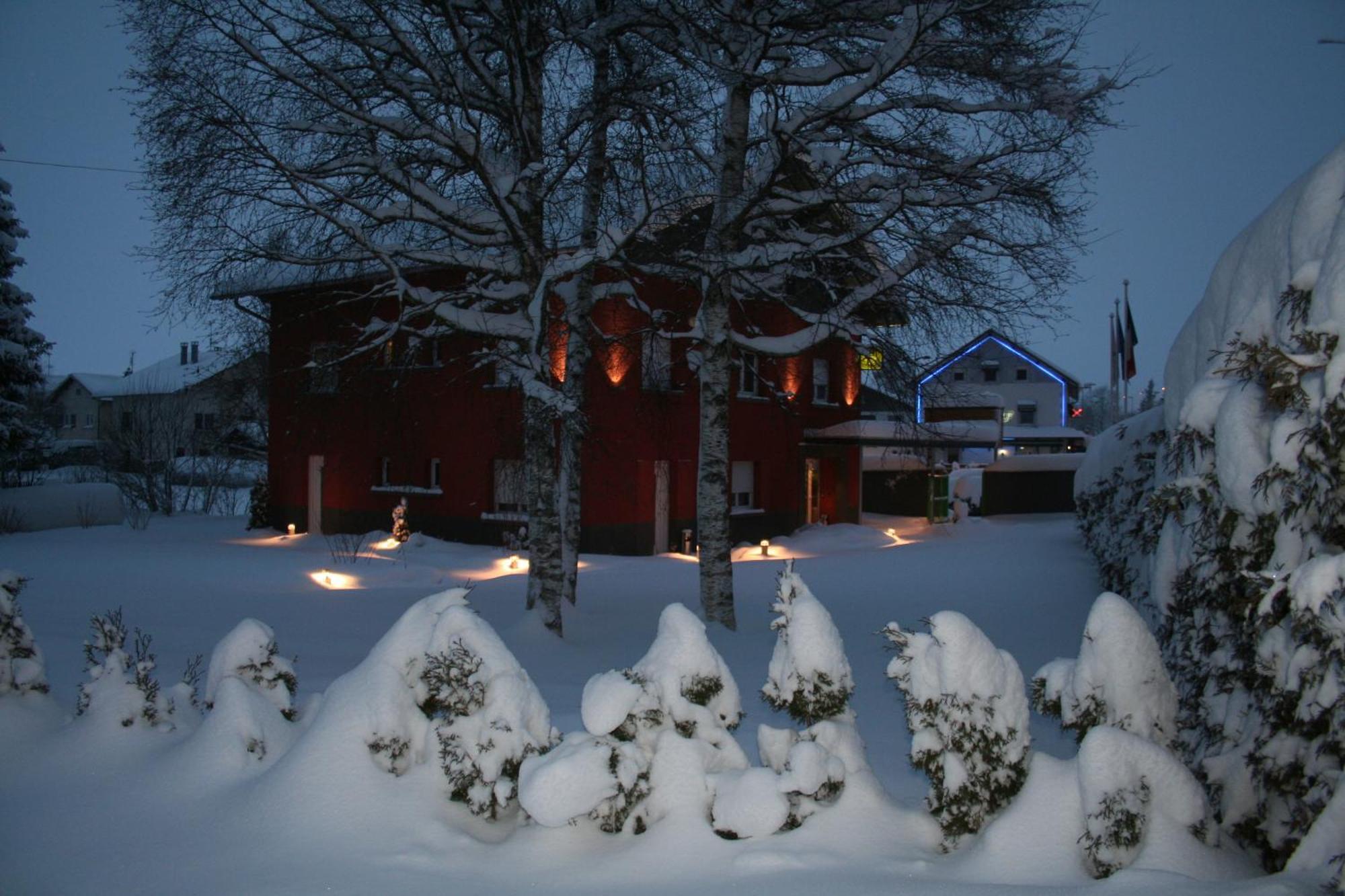 Logis Hotel & Restaurant Les Perce-Neige Bonnetage Exterior photo